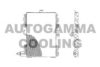 AUTOGAMMA 102753 Condenser, air conditioning